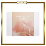 کیت ویژه بهاری با عصاره سنتلا آسیاتیکا اسکین 1004